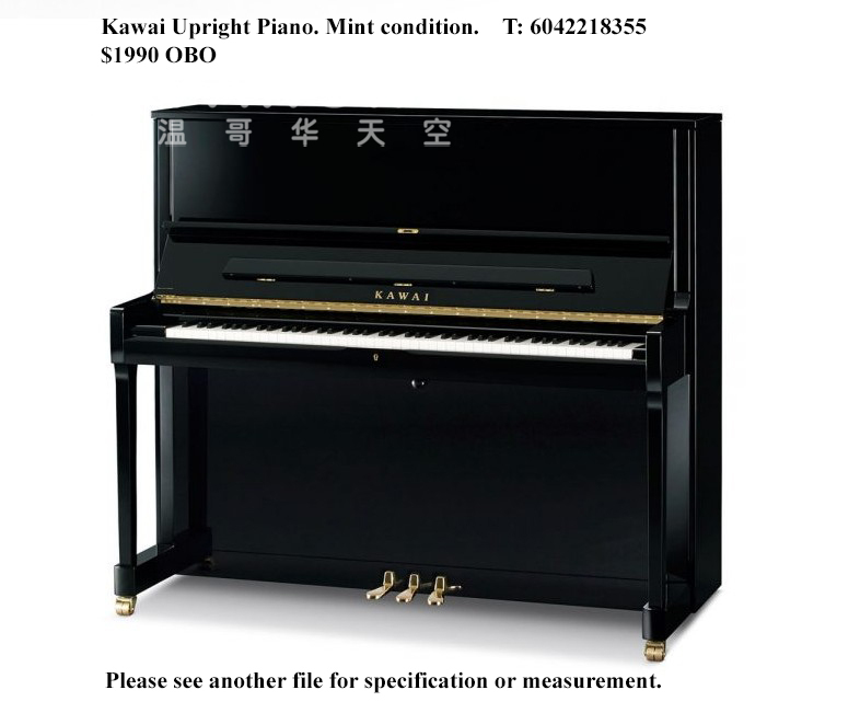 250913133017_Kawai 2.jpg